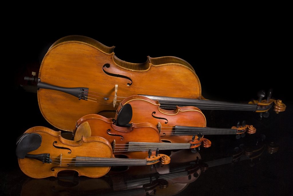 弦楽器 ヴィオラから目が離せなくなる 有名曲 特徴を解説 前編 Music Lesson Lab