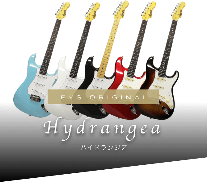 エレキギター ストラトキャスタータイプ Hydrangea 大人の音楽教室 Eys音楽教室 無料体験レッスン受付中